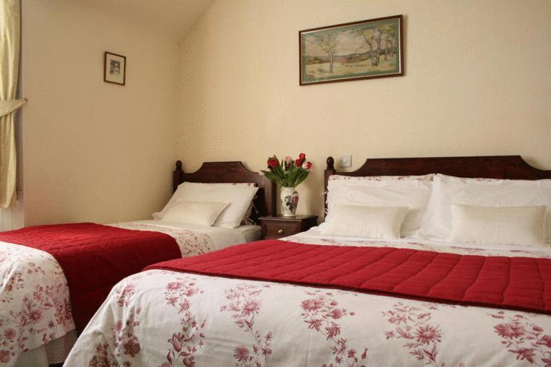 Grantown-on-Spey Dunallan Guest House מראה חיצוני תמונה